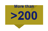 University Graduation Rate